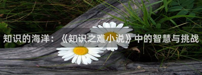 楚留香同人小说